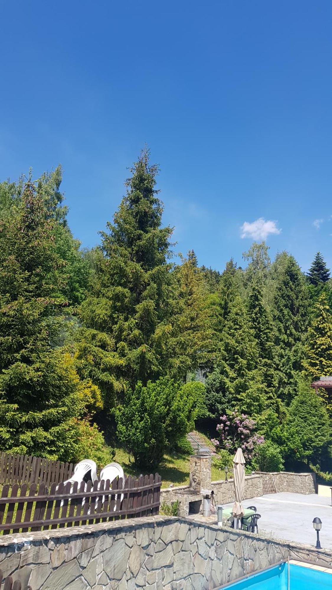 Eden Szczyrk Bed & Breakfast Dış mekan fotoğraf